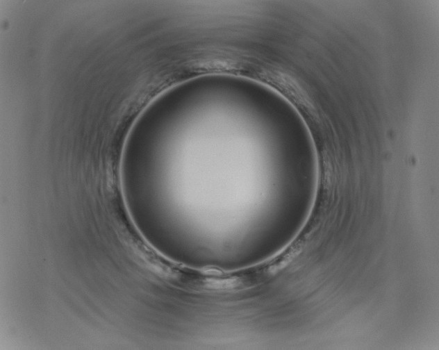 X0000076270457200610122259