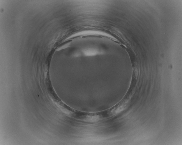 X0000076270458200610122259