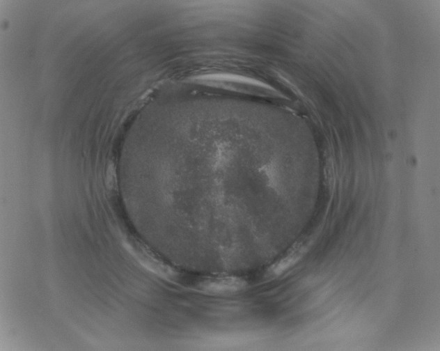 X0000076270459200610122259