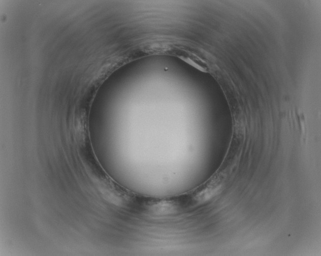 X0000076270460200610122259