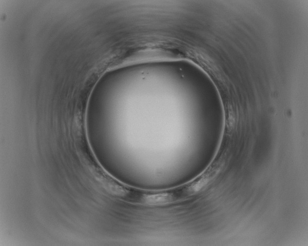 X0000076270461200610122259