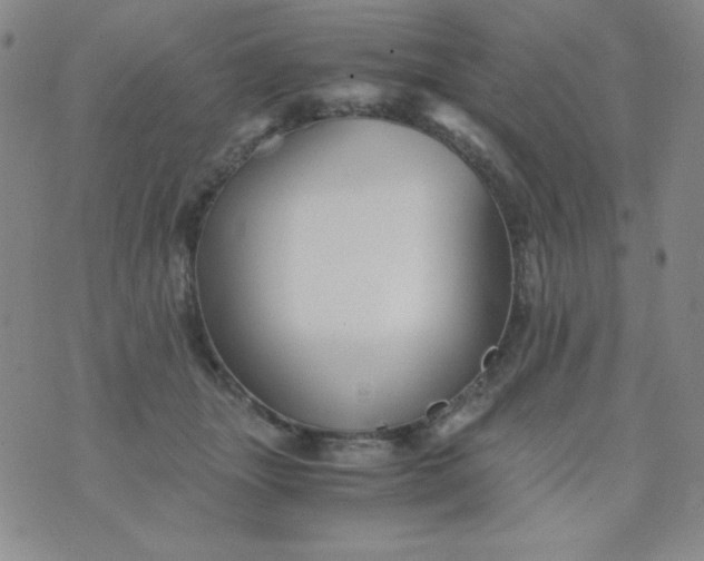 X0000076270463200610122259