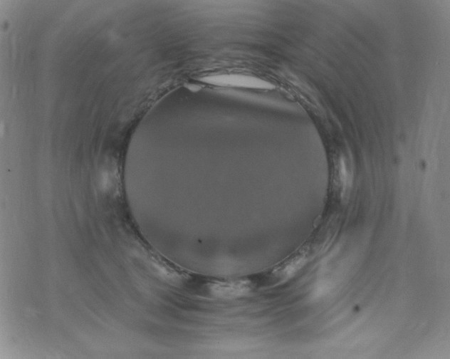 X0000076270465200610122259