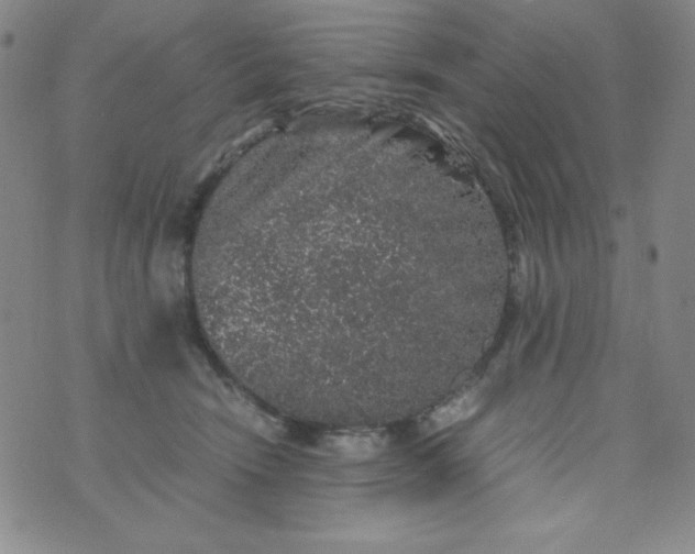 X0000076270466200610122259