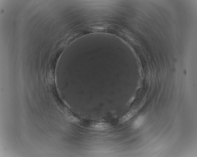 X0000076270467200610122259