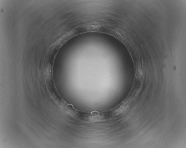 X0000076270468200610122259