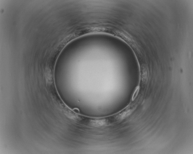 X0000076270469200610122259