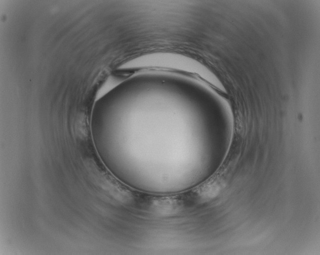 X0000076270470200610122259