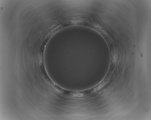 X0000076270471200610122259