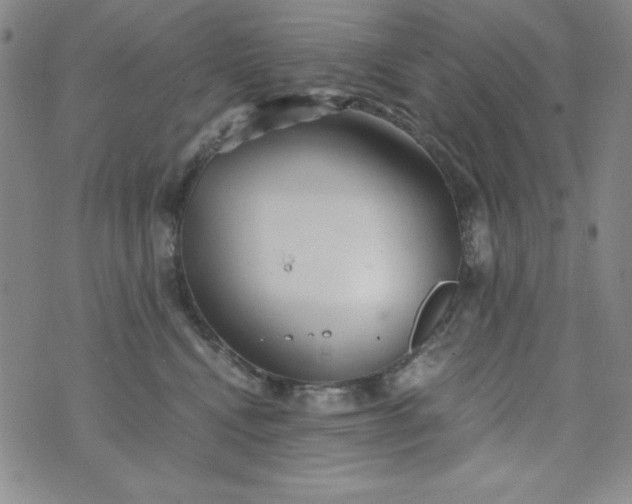 X0000076270472200610122259