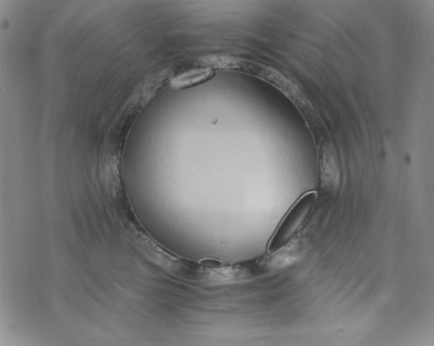 X0000076270473200610122259