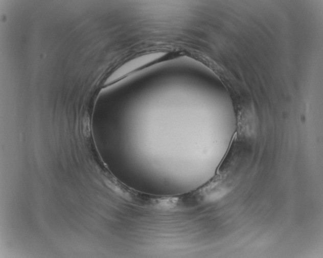 X0000076270474200610122259