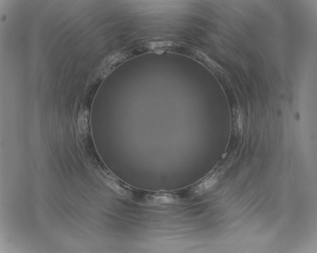 X0000076270475200610122259