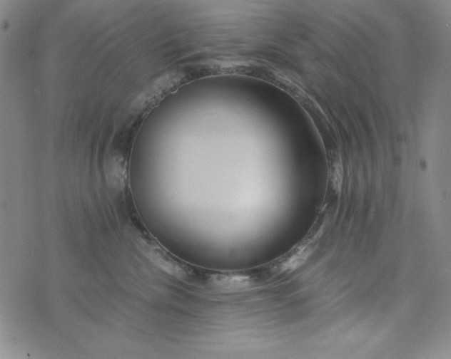 X0000076270476200610122259