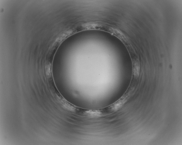 X0000076270477200610122259