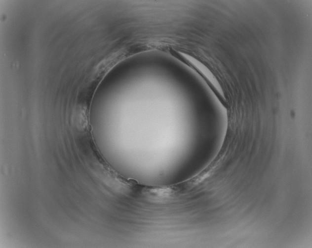 X0000076270478200610122300