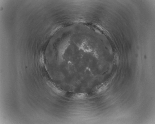 X0000076270479200610122300