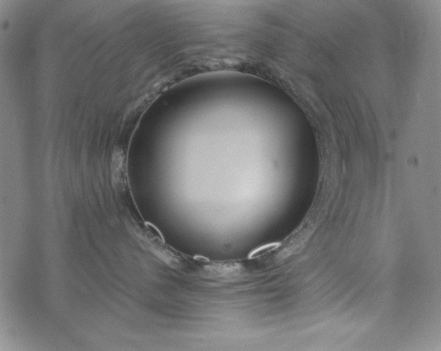 X0000076270480200610122300