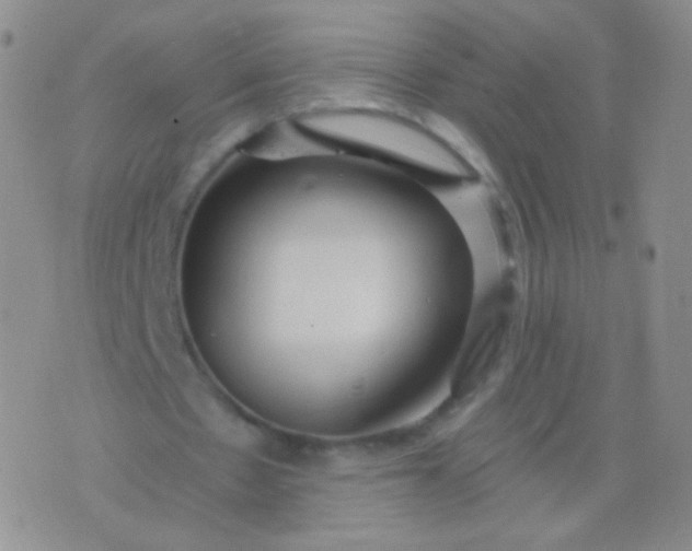 X0000076270481200610122259