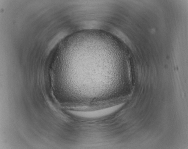 X0000076270482200610122259