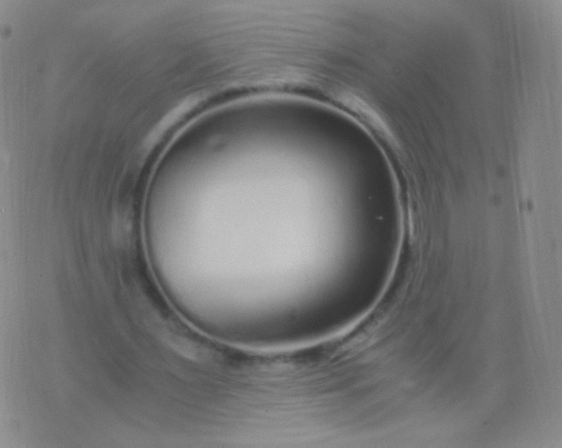 X0000076270483200610122259