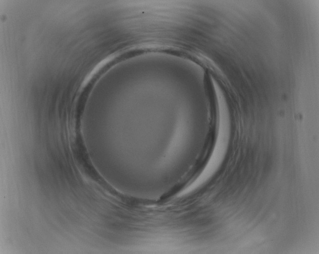 X0000076270484200610122259