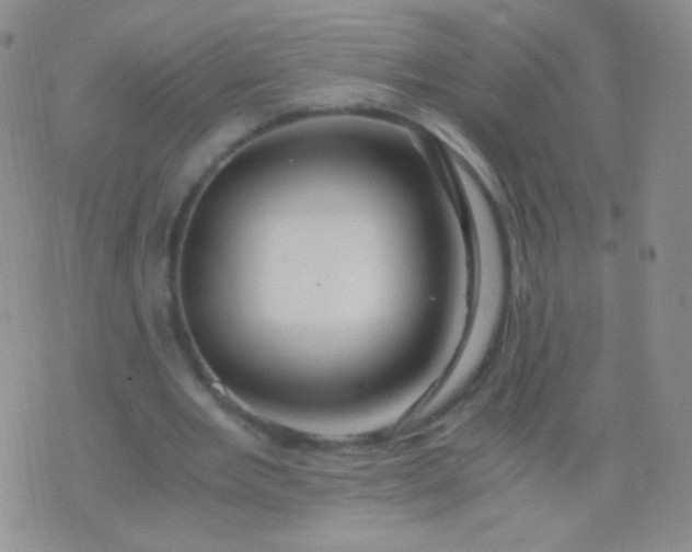 X0000076270485200610122259