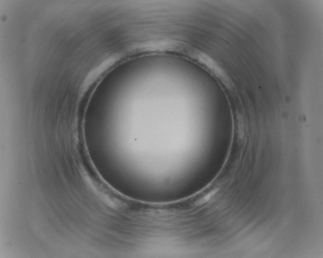 X0000076270486200610122259