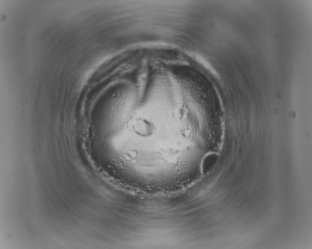 X0000076270487200610122259