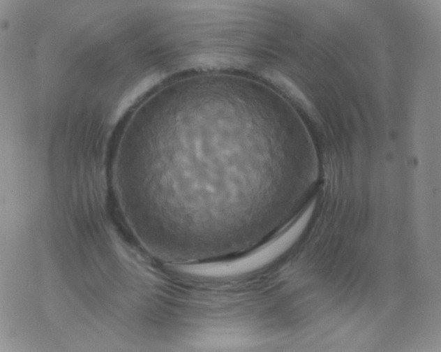 X0000076270488200610122259