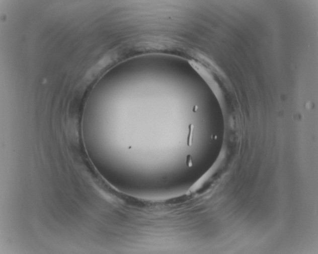 X0000076270489200610122259