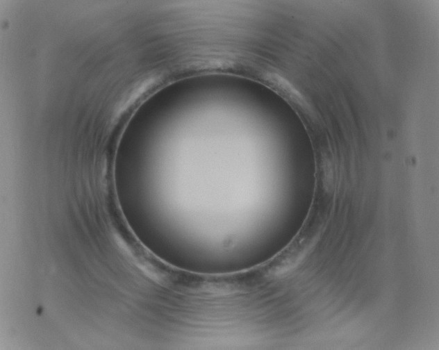 X0000076270490200610122259