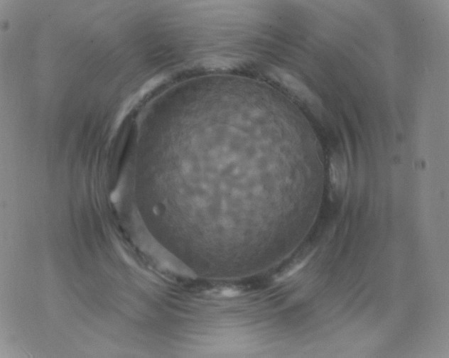 X0000076270492200610122259