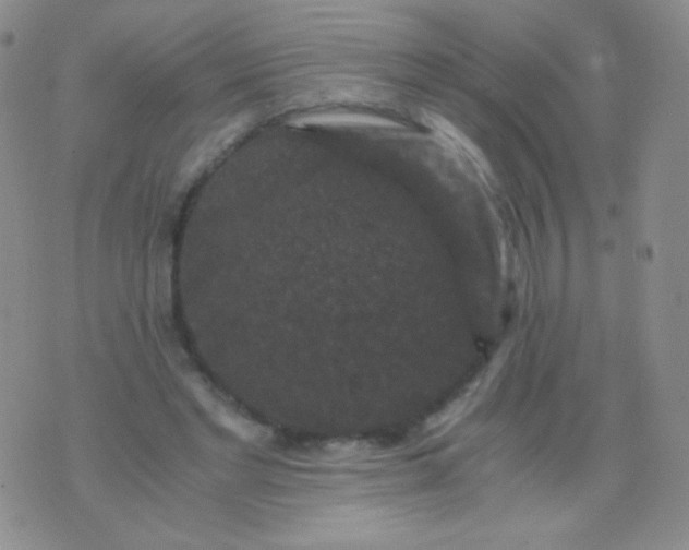 X0000076270493200610122259