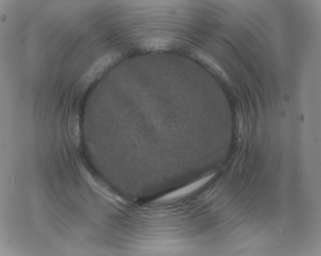 X0000076270494200610122259