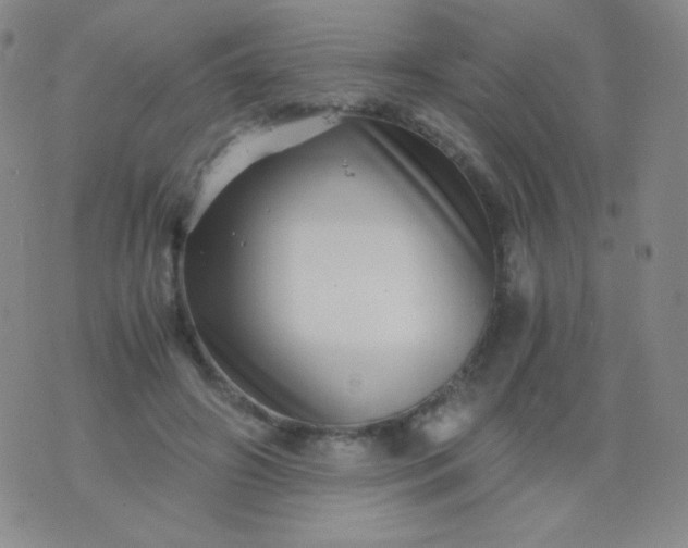 X0000076270498200610122258