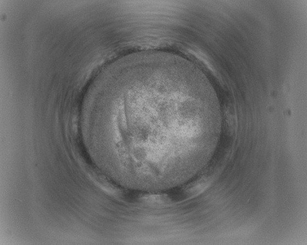 X0000076270499200610122258