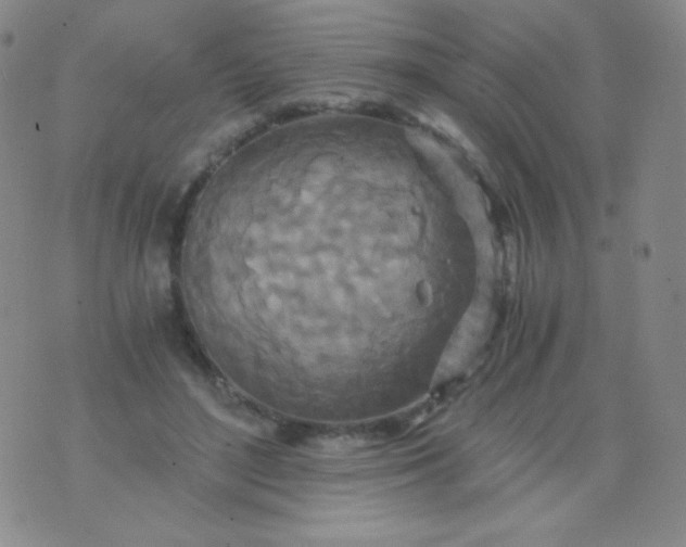 X0000076270500200610122258