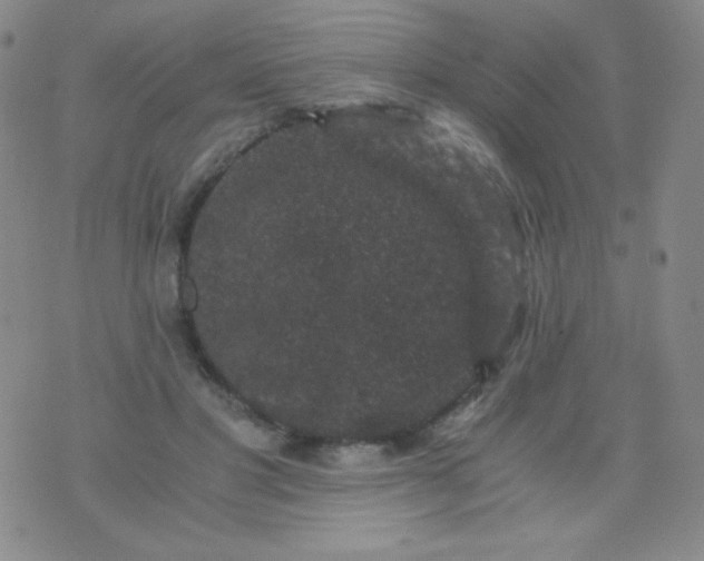 X0000076270501200610122258