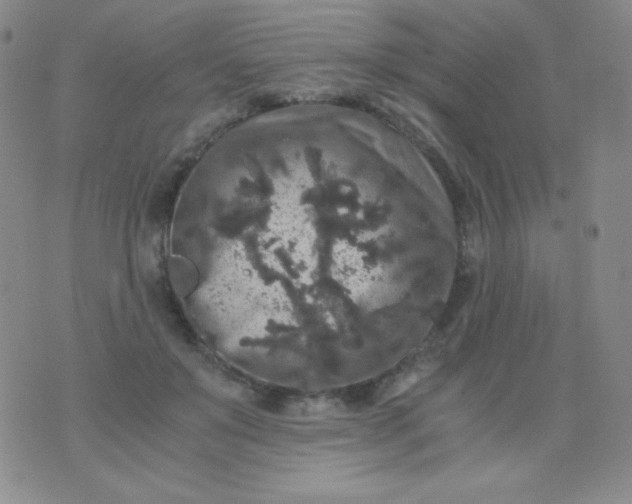 X0000076270503200610122258