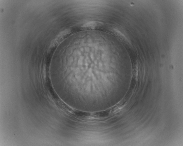 X0000076270504200610122258