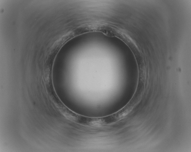 X0000076270505200610122258