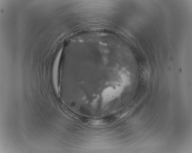 X0000076270507200610122258