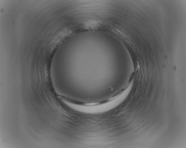 X0000076270508200610122258