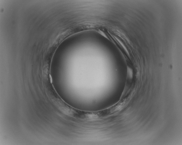 X0000076270509200610122258