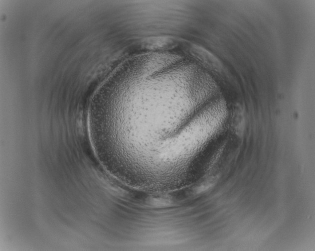 X0000076270510200610122258