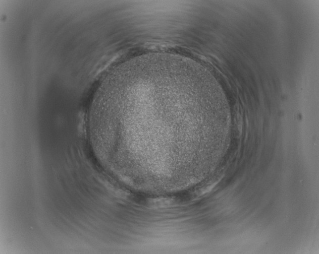 X0000076270511200610122258