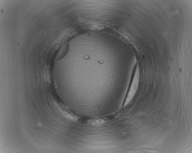 X0000076270512200610122258