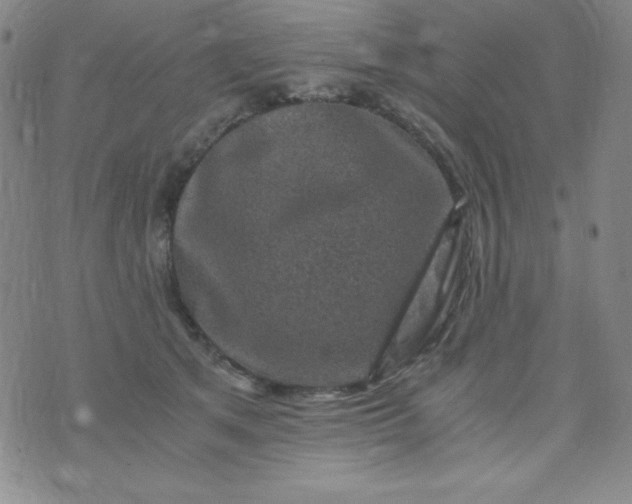 X0000076270513200610122258