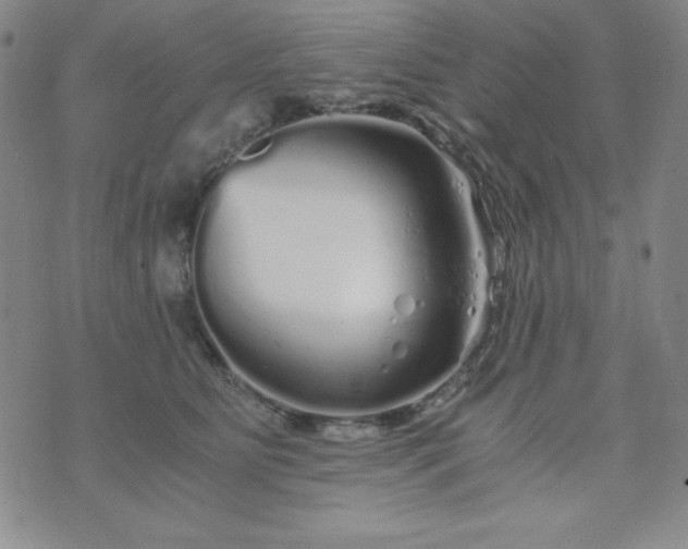 X0000076270515200610122258